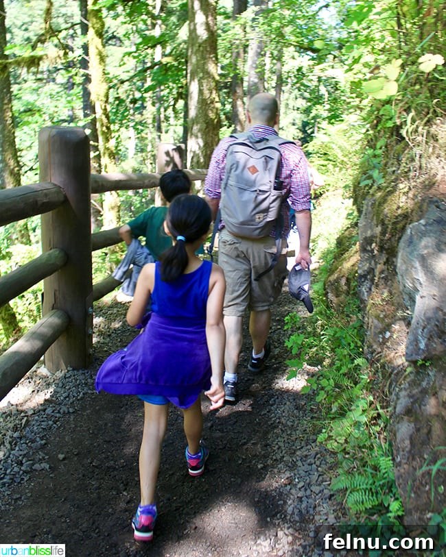 Silver Falls State Park Ten Falls Trail Journey 12 A family hiking together near South Falls in Silver Falls State Park