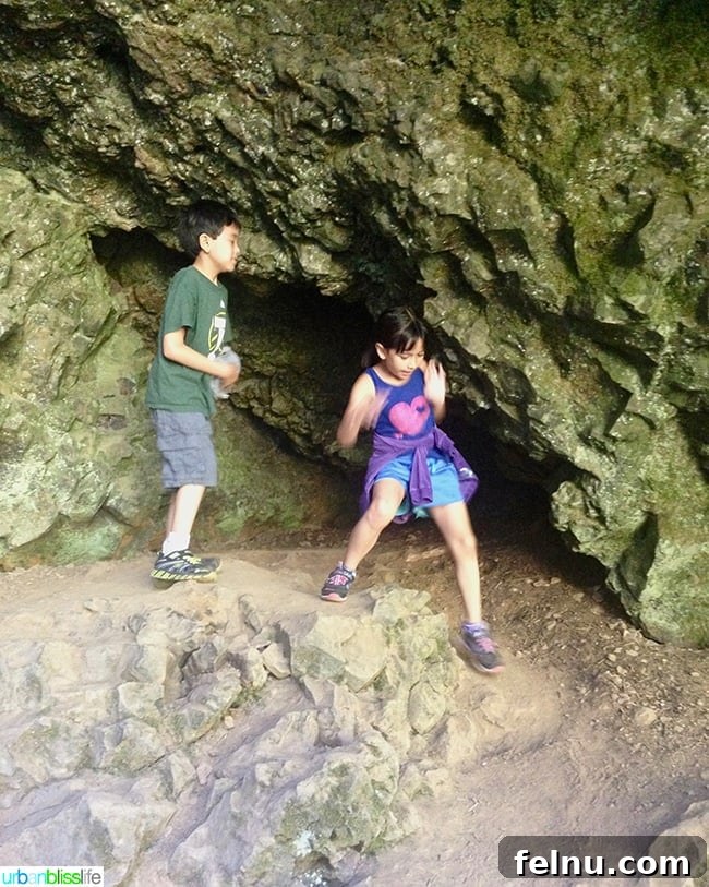 Silver Falls State Park Ten Falls Trail Journey 14 Children enjoying a family hike at Silver Falls State Park