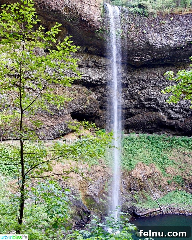 Silver Falls State Park Ten Falls Trail Journey 18 The main North Falls cascade, a highlight of Silver Falls State Park