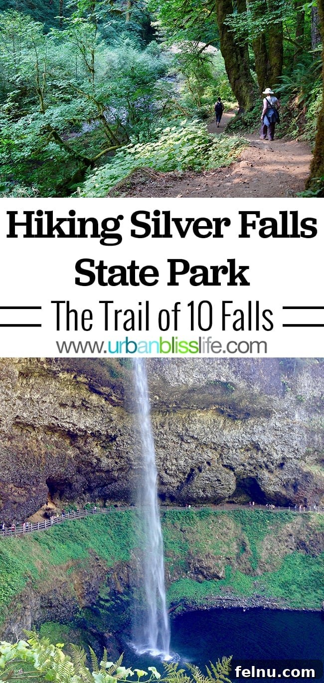 Silver Falls State Park Ten Falls Trail Journey 21 Silver Falls State Park - a comprehensive guide to hiking in Oregon's waterfall wonderland. Travel tips and adventures from UrbanBlissLife.com