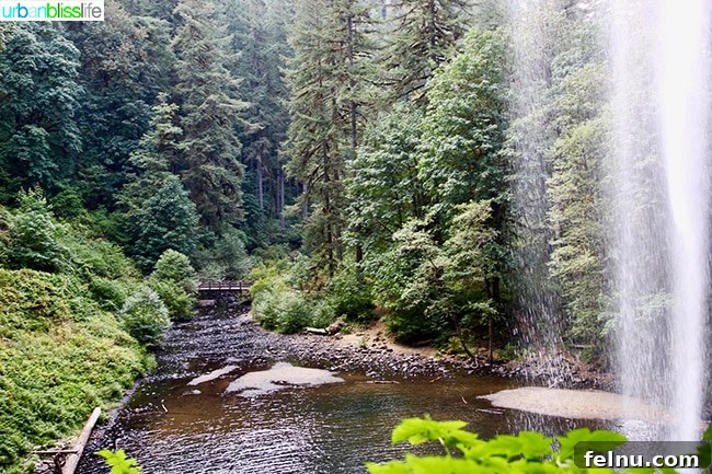 Silver Falls State Park Ten Falls Trail Journey 10 The stunning landscape viewed from behind a cascading waterfall at Silver Falls State Park