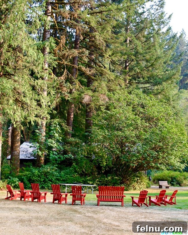 Your Oregon Cabin Getaway at Silver Falls Lodge 3 Inviting Adirondack chairs outside Silver Falls Lodge, suggesting relaxation