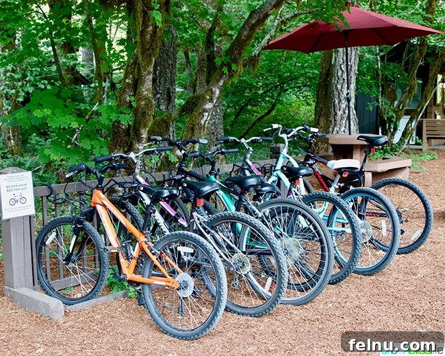 Your Oregon Cabin Getaway at Silver Falls Lodge 4 Bicycles parked outside Silver Falls Lodge, ready for guest use