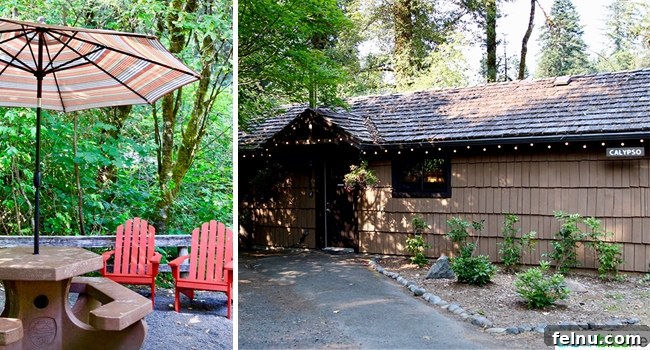 Your Oregon Cabin Getaway at Silver Falls Lodge 5 A spacious large cabin at Silver Falls Lodge, amidst the forest