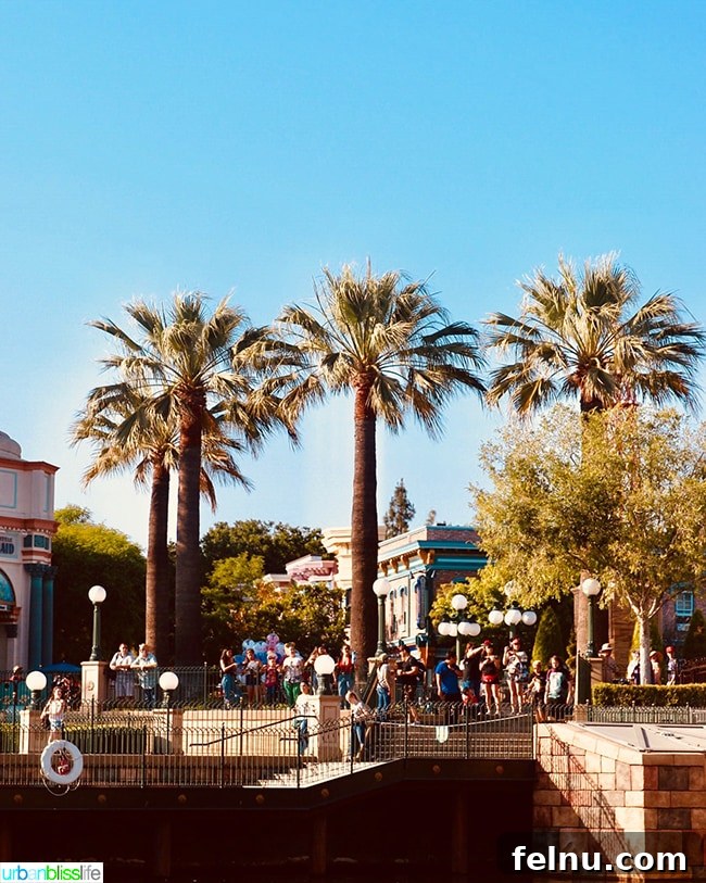 Pixar Pier: A Slice of Animation Magic 3 Disneyland Pixar Pier palm trees
