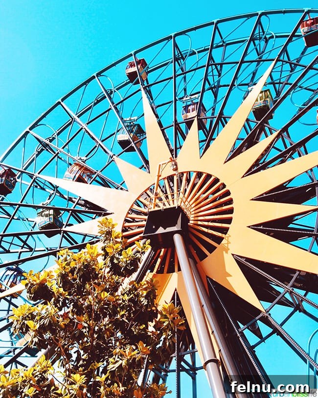 Pixar Pier: A Slice of Animation Magic 7 Disneyland Pixar Pier Mickey Wheel