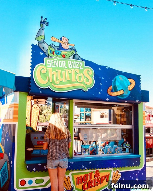Savor the Flavors of Disneyland Pixar Pier 14 Disneyland Pixar Pier Senor Buzz Churros