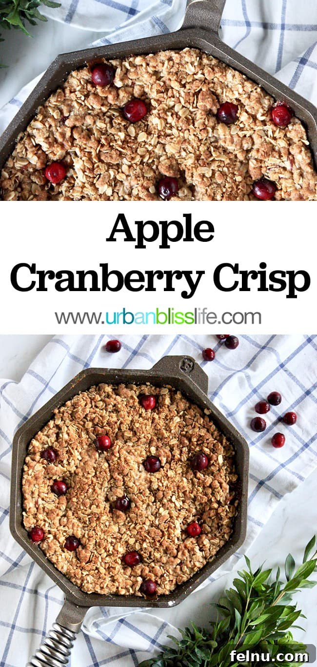Pinterest-ready image of Skillet Apple Cranberry Crisp recipe on UrbanBlissLife.com, perfect for saving and sharing.