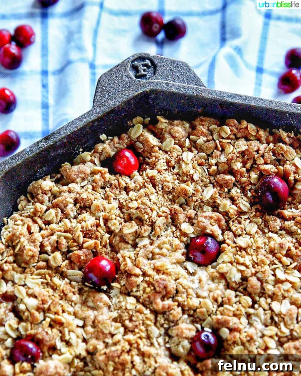 Close-up corner view of a bubbling skillet apple cranberry crisp, showcasing the golden oat topping and fruit filling.