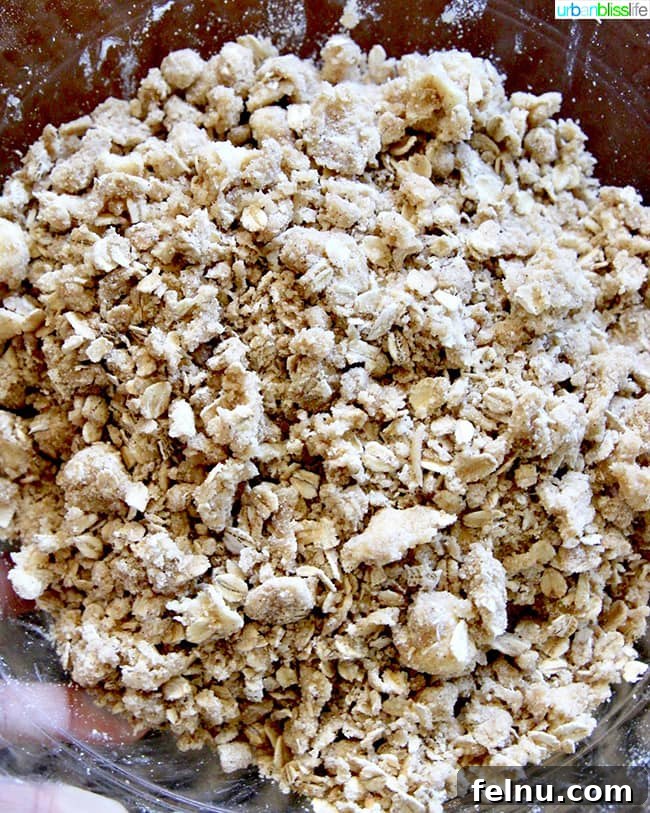 Close-up of the crumbly streusel topping, made with oats, brown sugar, and butter.