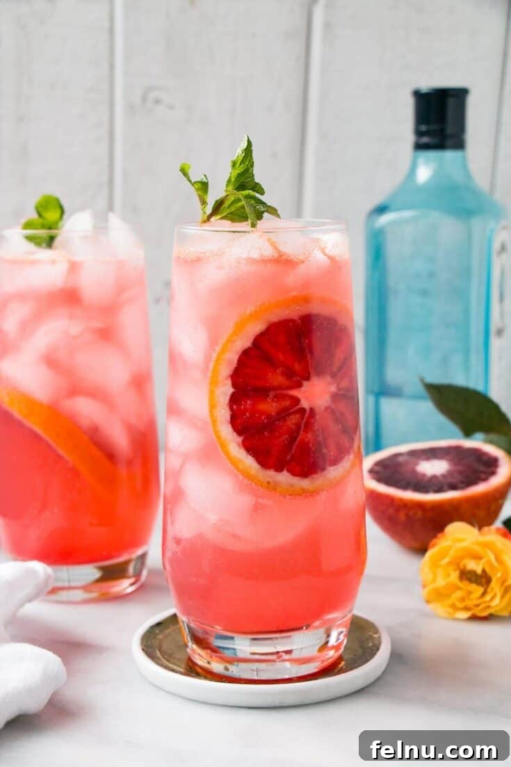 Festive New Year's Eve Cocktails 16 Blood Orange Gin and Tonic
