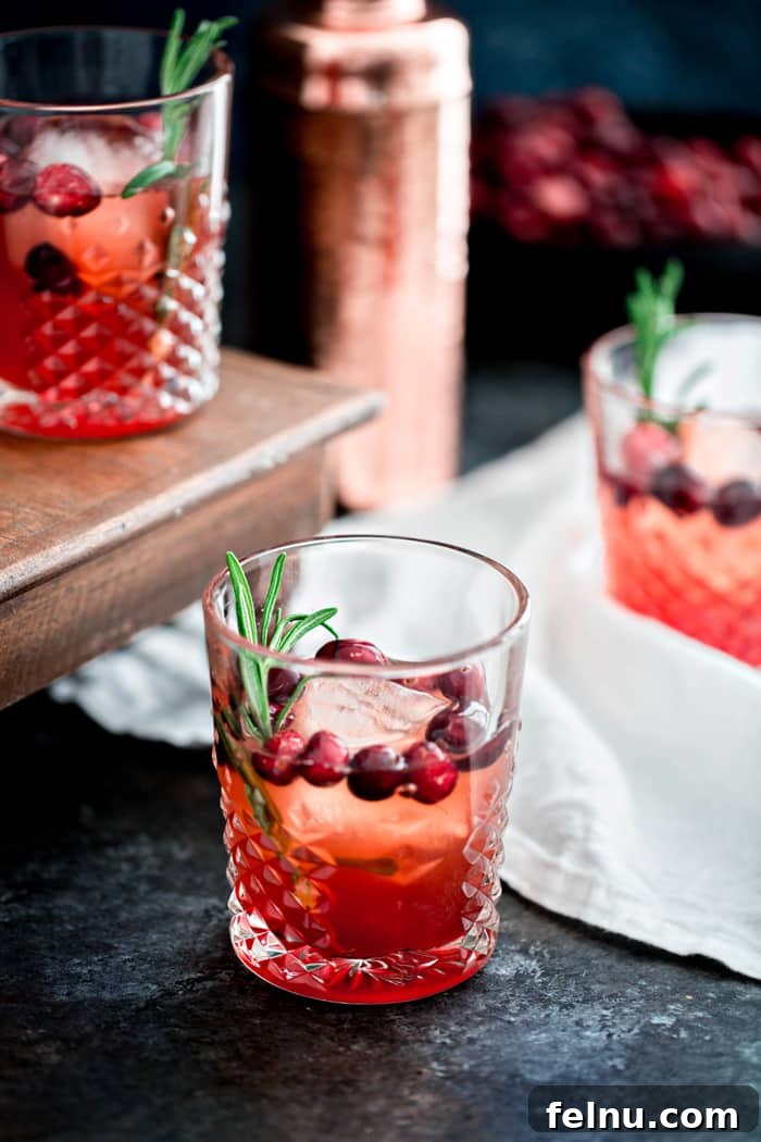 Festive New Year's Eve Cocktails 22 Cranberry Rosemary Shrub Cocktail