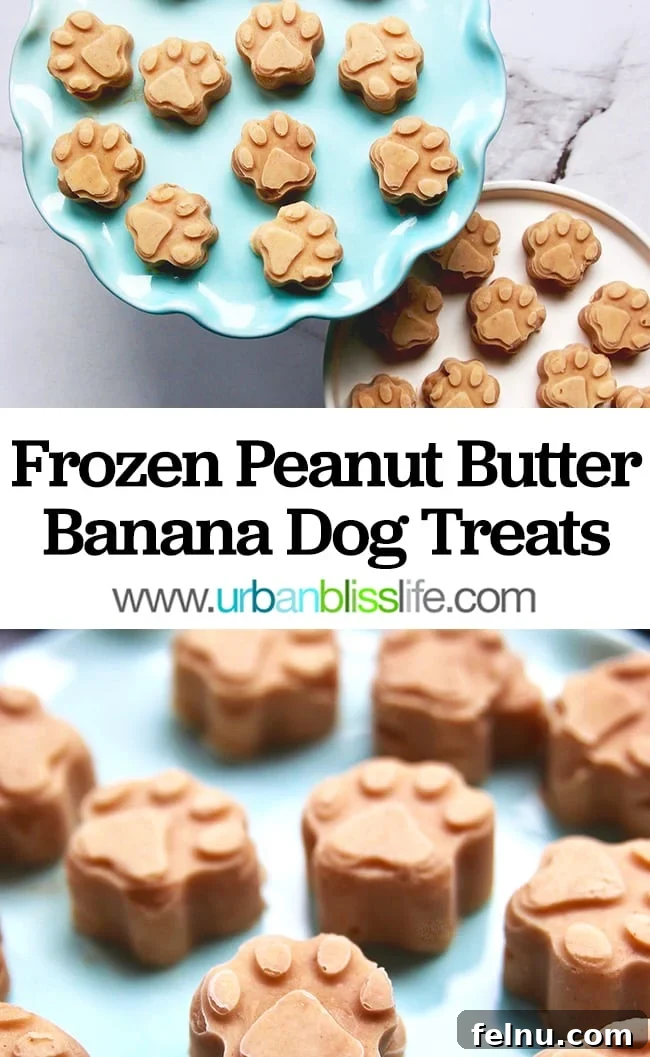 Frozen Banana Peanut Butter Pupsicles 15 Shareable Pinterest Image