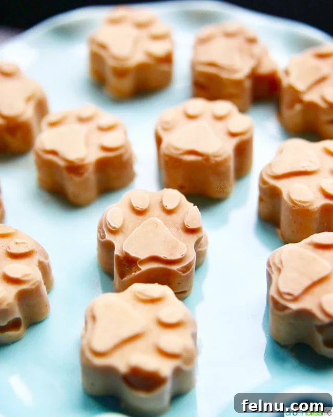 Frozen Banana Peanut Butter Pupsicles 5 Close-up of Frozen Peanut Butter Banana Dog Treats