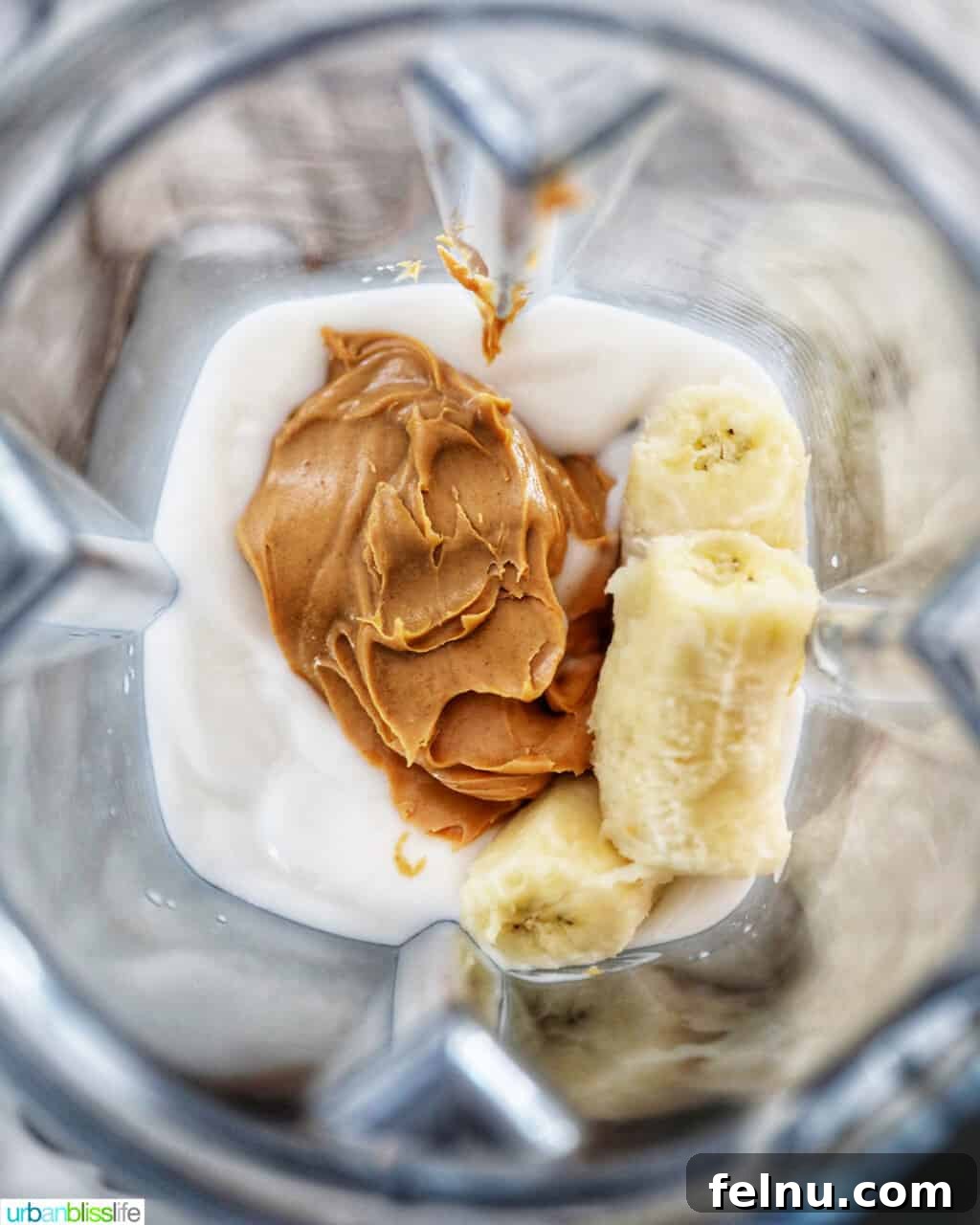 Frozen Banana Peanut Butter Pupsicles 8 3 ingredient dog treats in blender