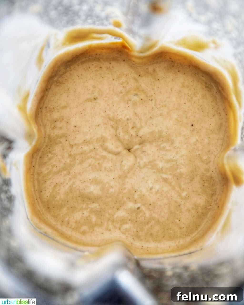 Frozen Banana Peanut Butter Pupsicles 9 ingredients to make frozen peanut butter banana dog treats blended in blender