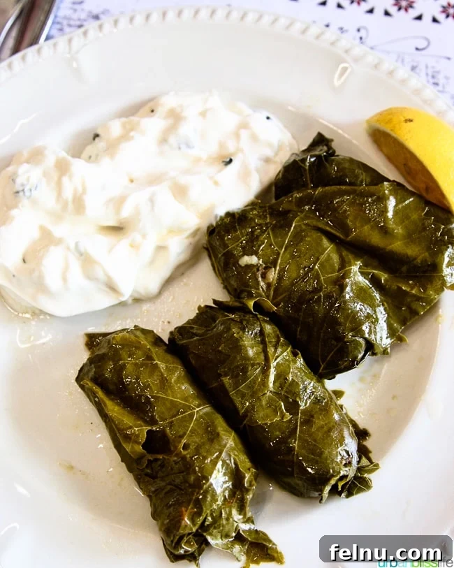 A plate of delicious Dolmades, traditional Greek stuffed grape leaves served at Dia Tafta restaurant