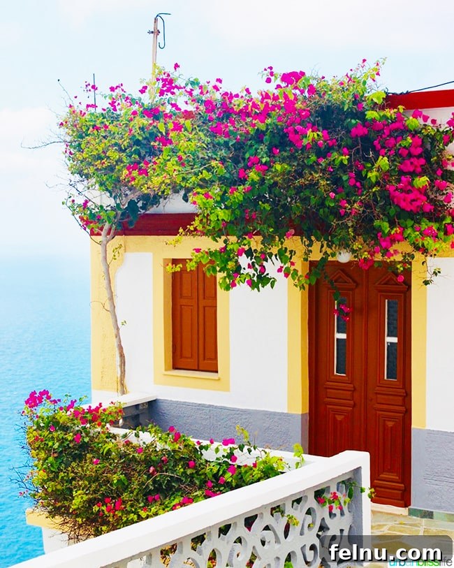 Karpathos Unveiled: Your Essential Island Escape Guide 5 Seaside home on Olympos Karpathos Island Greece