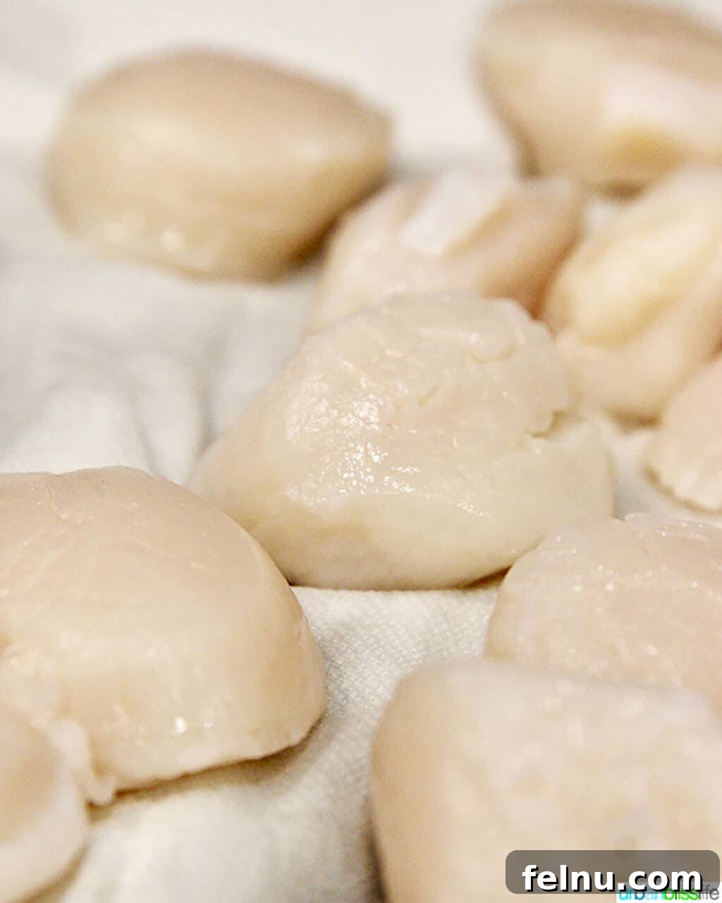 Lemon Garlic Scallop Pasta Dairy-Free Zesty Scallop Pasta: A Dairy-Free Delight 5 Drying scallops on paper towel