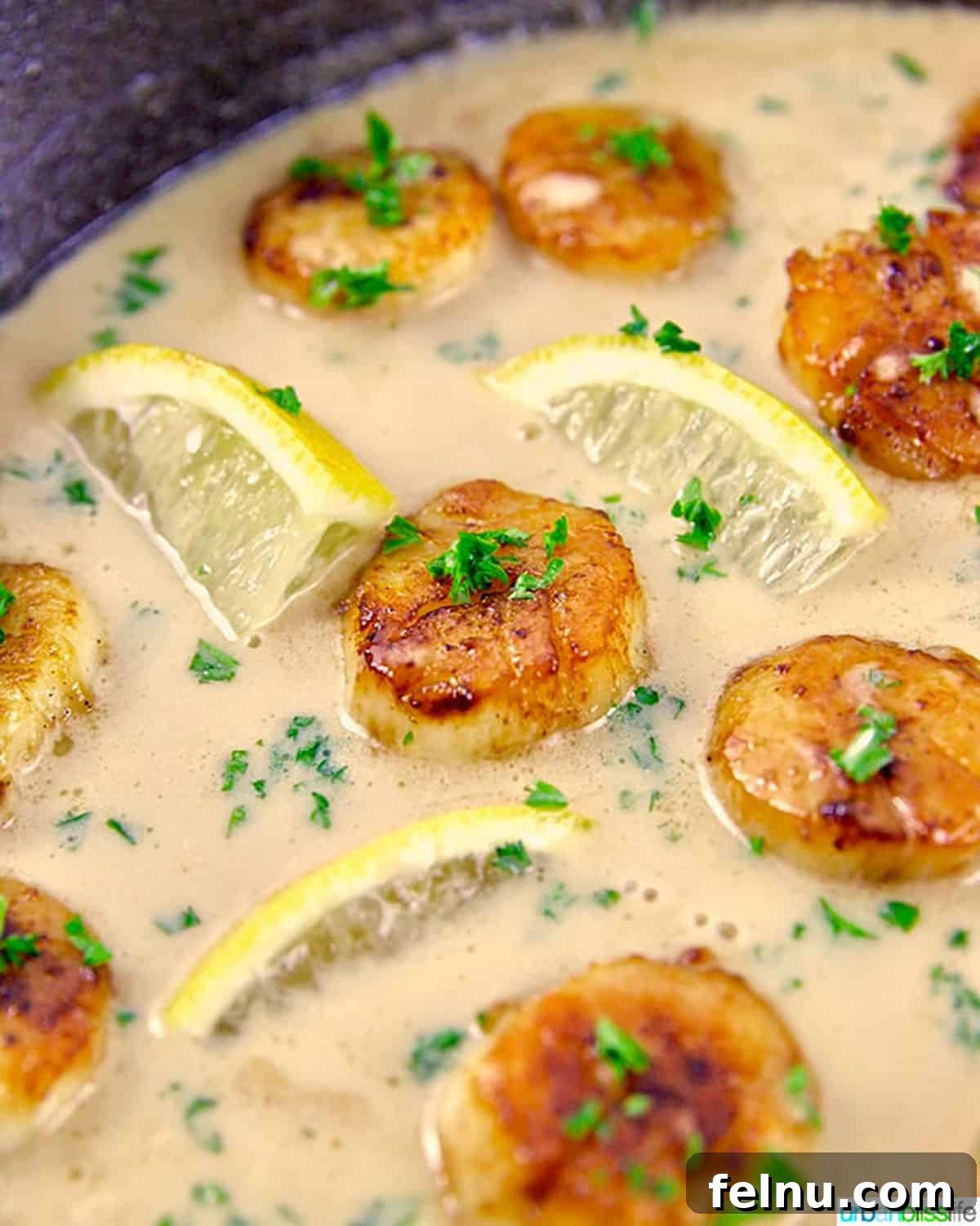 Lemon Garlic Scallop Pasta Dairy-Free Zesty Scallop Pasta: A Dairy-Free Delight 8 Seared scallops with pasta in skillet with creamy lemon garlic sauce