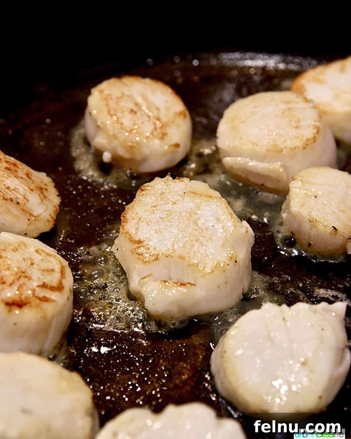 Lemon Garlic Scallop Pasta Dairy-Free Zesty Scallop Pasta: A Dairy-Free Delight 10 Scallops searing in skillet