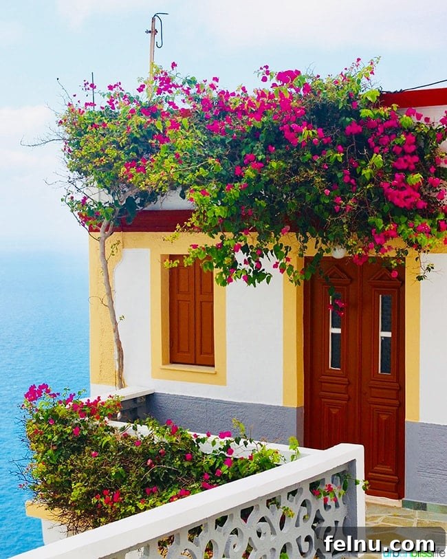 Greece Travel: Discover Olympos Village, Karpathos 4 A traditional white and yellow house adorned with vibrant flowers in Olympos, Karpathos