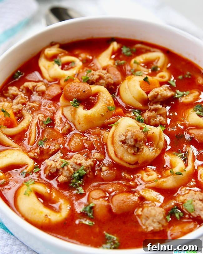 Hearty Sausage Tortellini Soup 6 Full bowl of Sausage Tortellini Soup with garnishes