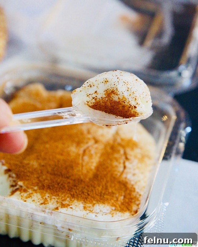 Close-up of Tavuk gogsu Greek rice pudding