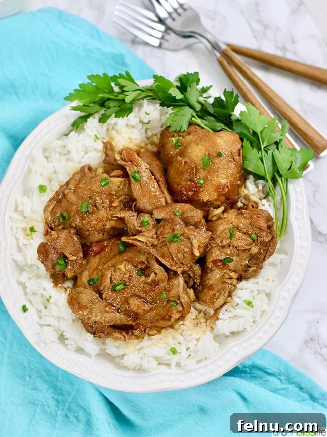 Creamy Dreamy Dairy-Free Swedish Meatballs with Pasta, Made Easy in Your Instant Pot 13 Instant Pot Filipino Chicken Adobo