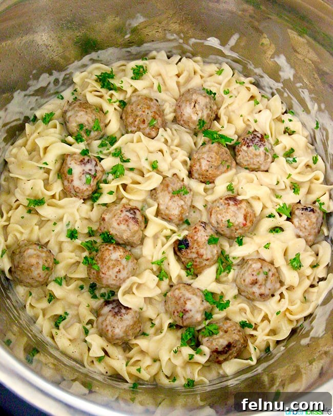 Creamy Dreamy Dairy-Free Swedish Meatballs with Pasta, Made Easy in Your Instant Pot 8 Cooked ingredients for Instant Pot Swedish Meatballs in Instant Pot