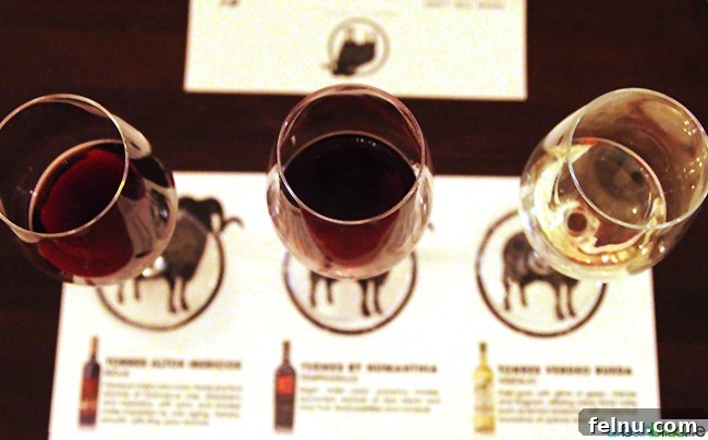 Hotel Valencia: Santana Row's Stylish Escape 13 Spanish wine flight presented at Oveja Negra restaurant