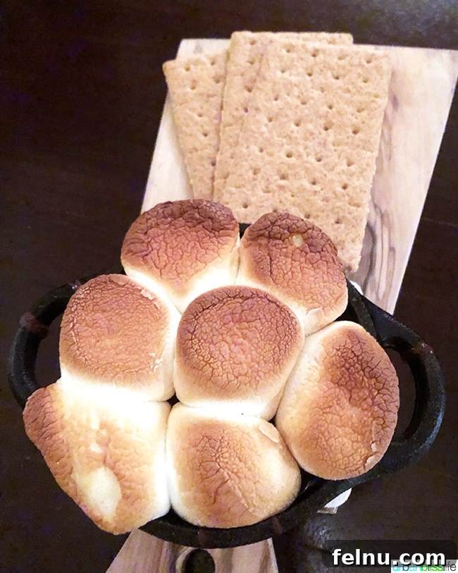 Hotel Valencia: Santana Row's Stylish Escape 16 S'mores dessert served in a skillet at Hotel Valencia Santana Row