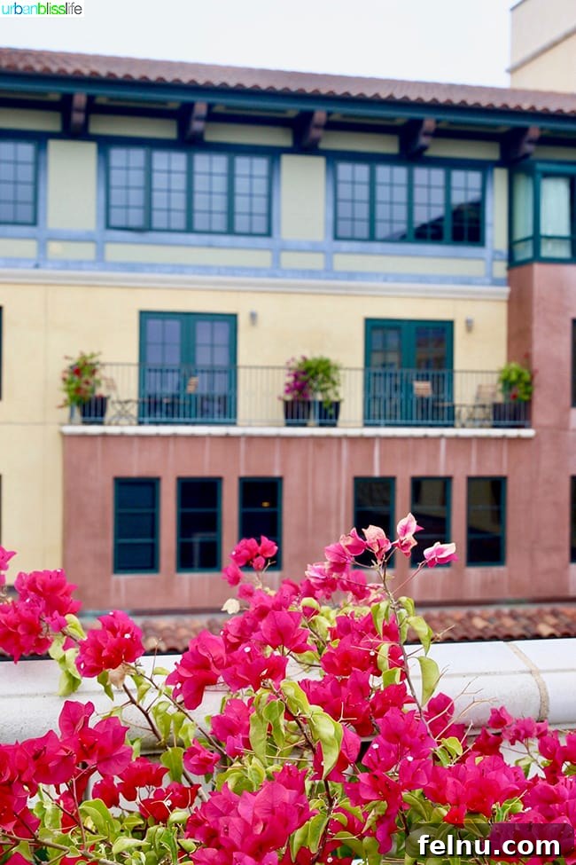 Hotel Valencia: Santana Row's Stylish Escape 3 vibrant fuschia flowers at Hotel Valencia Santana Row entrance