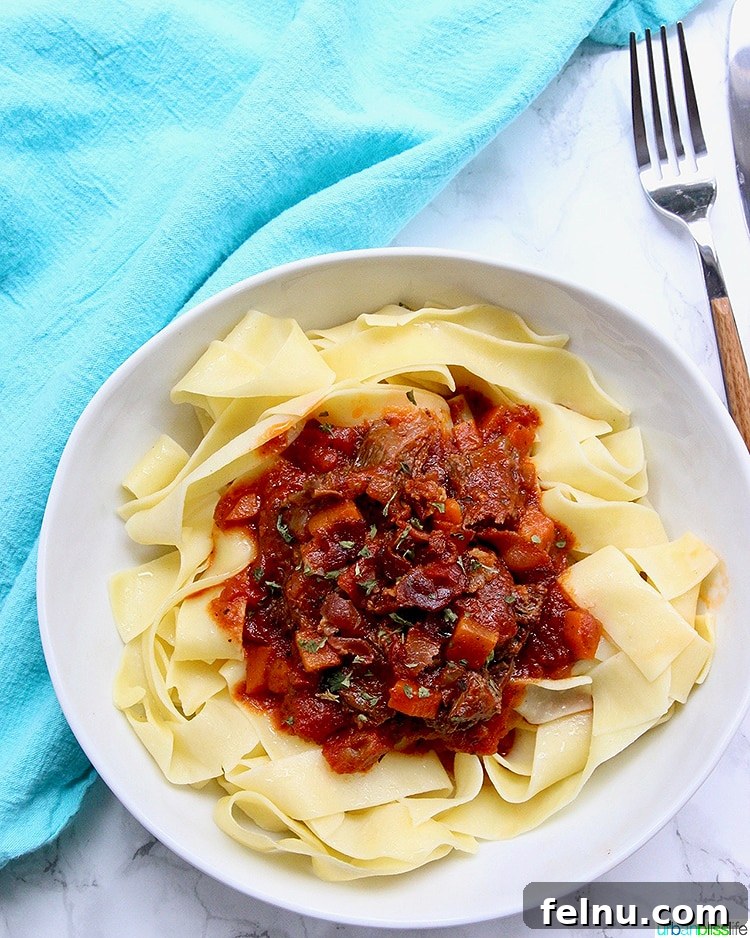 Slow-Cooker Short Rib Ragu: A Rich & Effortless Delight 2 Instant Pot Short Ribs Ragu served in a bowl with a fork