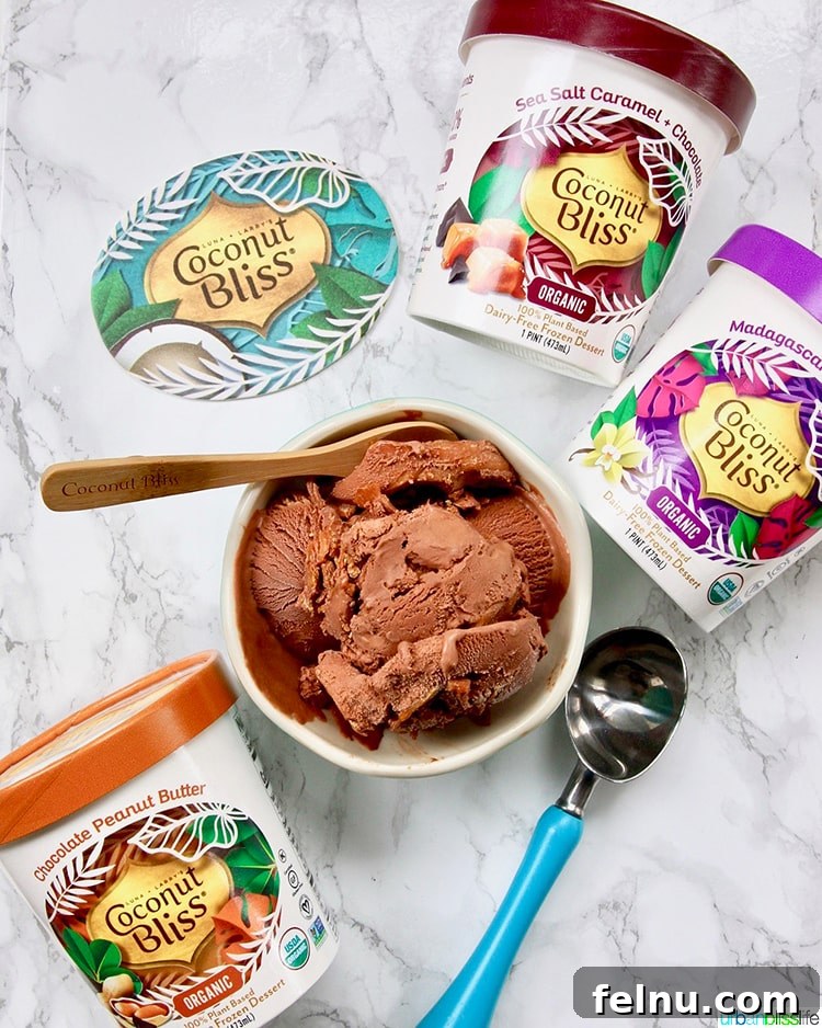 package of Coconut Bliss chocolate peanut butter ice cream and other flavors