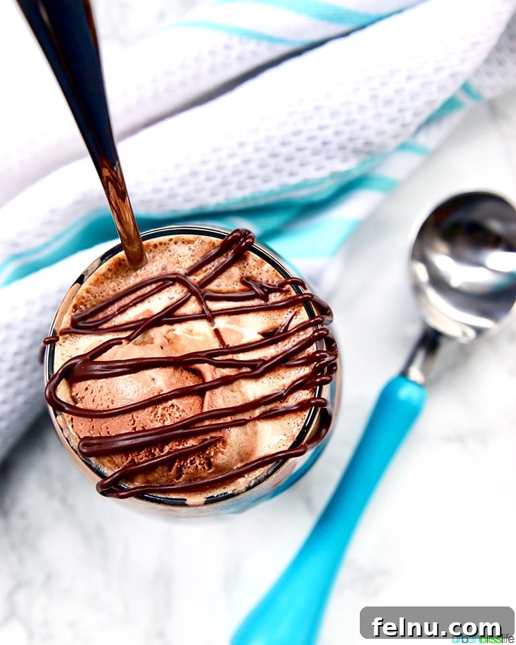 Dairy free ice cream recipe: Boozy Chocolate Peanut Butter Floats with ice cream scoop