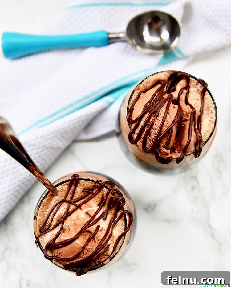 Dairy Free ice cream recipe: Boozy Chocolate Peanut Butter Floats two with ice cream scoop