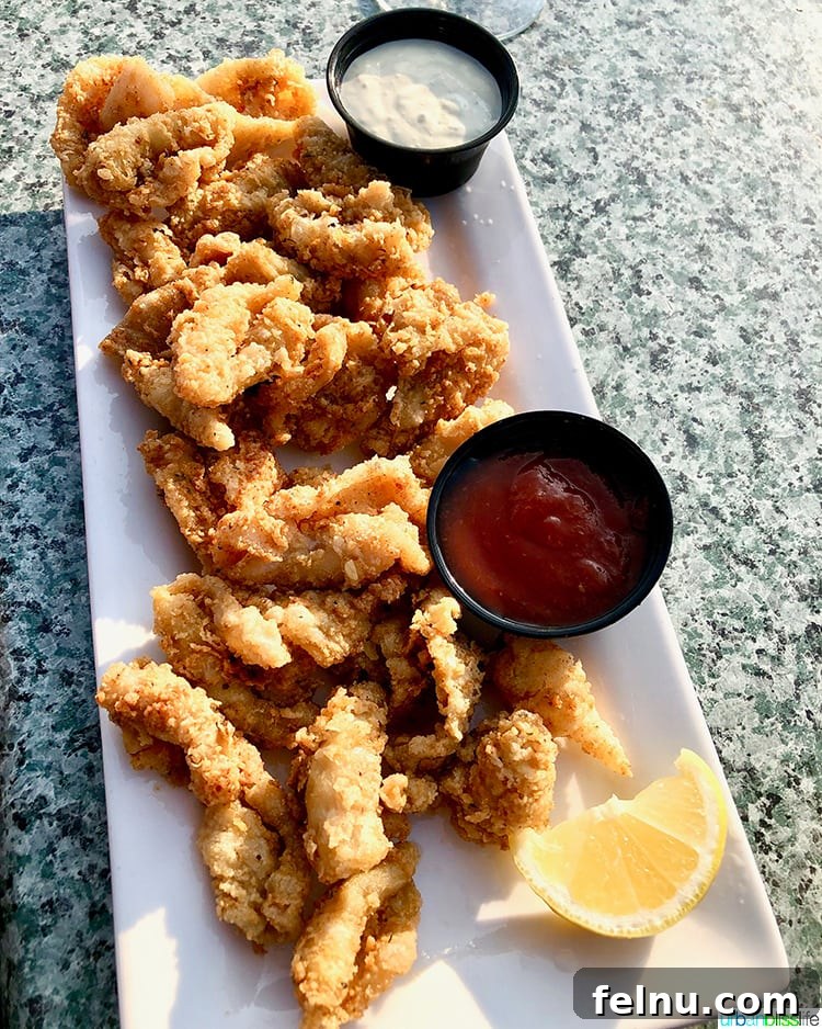 Surf, Sips, and City: San Jose to Livermore California Weekend 21 A plate of perfectly fried calamari, a popular appetizer at Zelda's on the Beach.