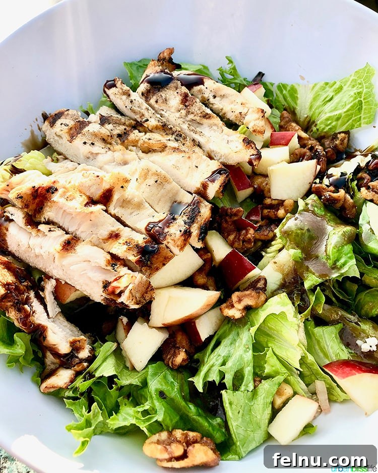 Surf, Sips, and City: San Jose to Livermore California Weekend 22 A generously sized Chicken Cobb Salad, featuring fresh ingredients and vibrant colors, from Zelda's on the Beach.