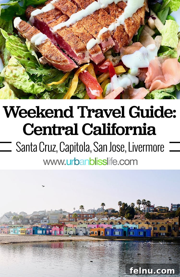 Surf, Sips, and City: San Jose to Livermore California Weekend 25 A stunning visual summary of the Central California Travel Guide, featuring iconic landmarks from Livermore, San Jose, Santa Cruz, and Capitola, perfect for Pinterest sharing.