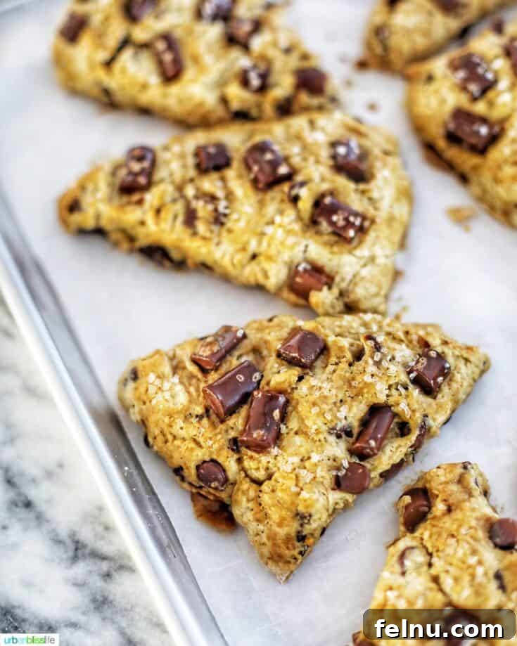 Mocha Chocolate Chip Scones