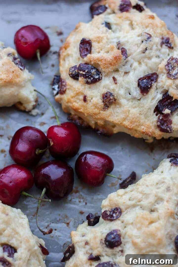 White Chocolate Cranberry Scones