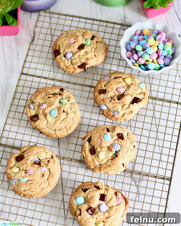 Colossal Chocolate Chunk Cookies 5 A set of Giant Chocolate Chip M&M Cookies on a cookie rack, showcasing their uniform size and appealing appearance.