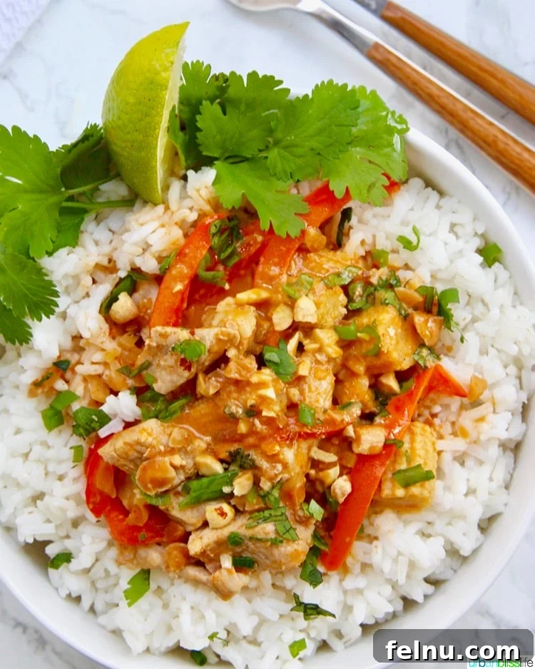 Instant Pot Creamy Cashew Chicken 9 Thai Peanut Curry asian dinner