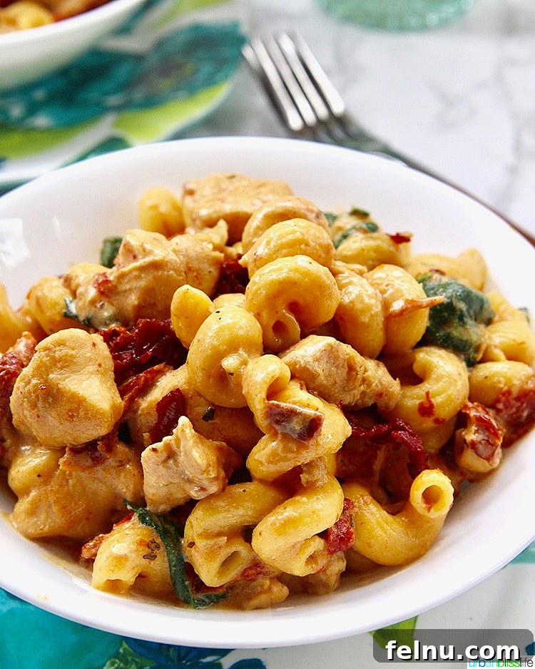 Instant Pot Creamy Cashew Chicken 10 Dairy-Free Instant Pot Tuscan Chicken Pasta single