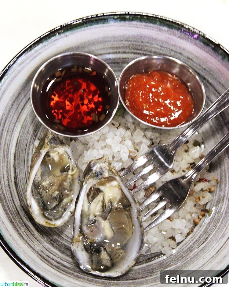 Miranda's Bar 8 Freshly shucked Market Oysters beautifully presented at Bar Miranda
