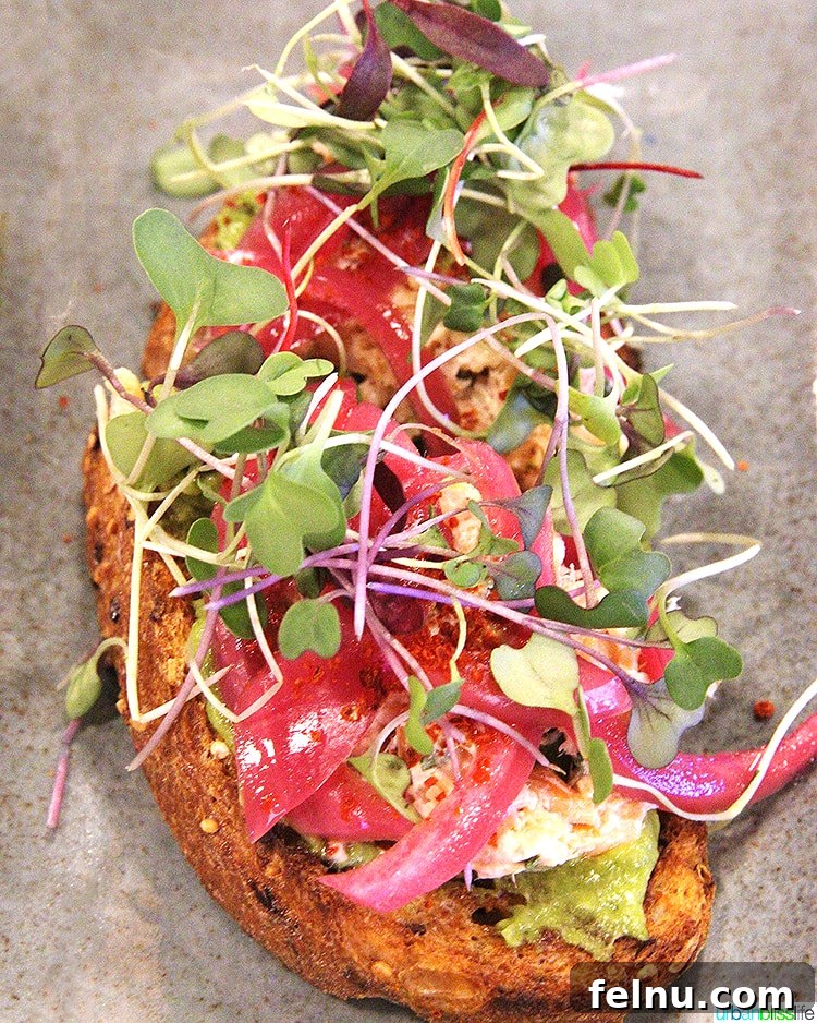 Miranda's Bar 9 Gourmet smoked trout toast topped with fresh greens at Bar Miranda