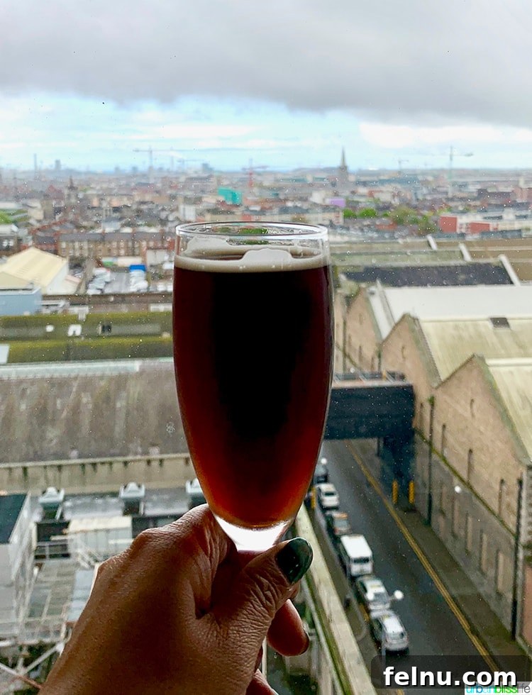 Insider's Guide: Mastering the Guinness Storehouse Experience 12 Black Velvet and Dublin Skyline