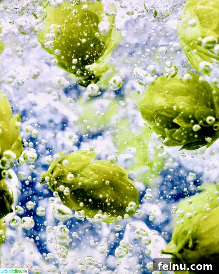 Insider's Guide: Mastering the Guinness Storehouse Experience 14 Hops Display at Guinness Storehouse