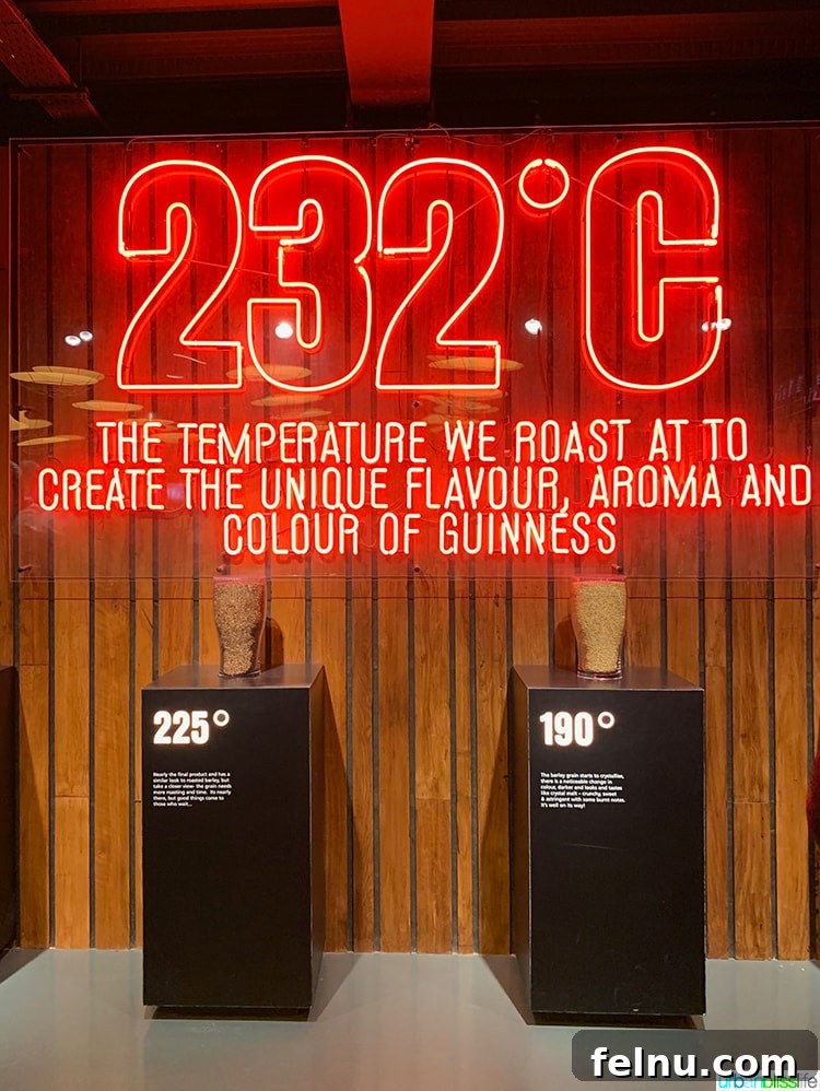 Insider's Guide: Mastering the Guinness Storehouse Experience 15 Guinness Beer Brewing Process